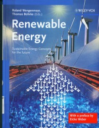 Renewable energy:sustainable energy concepts for the future