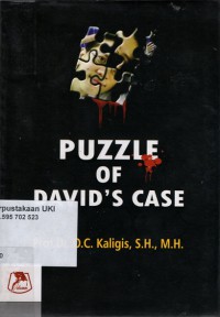 Puzzle of David's Case