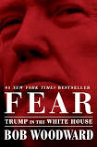 Image of Fear: Trump in the White House