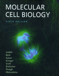 Image of Molecular cell biology