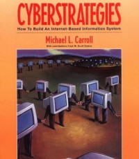 Cyberstrategies: How to Build an Internet-based Information System