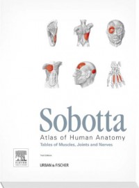 Sobotta Atlas of Human Anatomy : Tables of Muscles, Joints, and Nerves