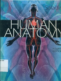 Image of Human Anatomy