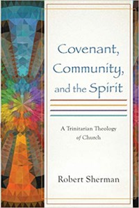 Covenant, community, and the spirit: a trinitarian theology of church