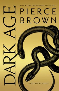 Image of Dark age