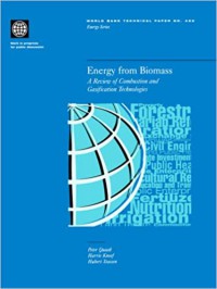 Energy from Biomass : a review of combustion and gasification technologies