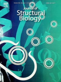 Image of Journal of Structural Biology, October 2018