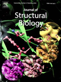 Image of Journal of Structural Biology, November 2018