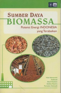 Image of Sumber Daya Biomassa : Potensi Energi Indonesia yang Terabaikan